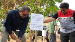PHE ONWJ Tanam 12.650 Bibit Pohon untuk Mitigasi Perubahan Iklim
