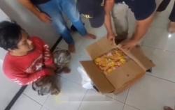Waspadai Modus Baru Peredaran Narkoba, Edarkan Ganja Disamarkan Paket Mi Instan