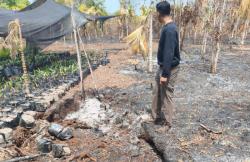  Polres Bengkalis Amankan Terduga Pembakar 180 Hektare Lahan 