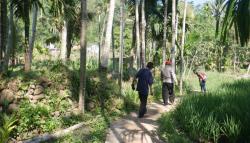 Dulu Jalan Licin dan Harus Memutar, Kini Petani Desa Duren Lebih Mudah Bawa Hasil Panen