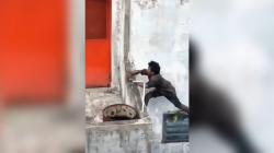 Viral, Skill Parkour Maling Medan Bikin Melongo! Sayang Pelariannya Kandas di Tangan Warga