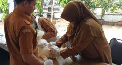 Cegah Ancaman Rabies, Diskanak Purwakarta Gelar Vaksinasi Gratis untuk Hewan Peliharaan