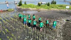 Hari Lingkungan Hidup, Penanaman 2.500 Bibit Mangrove Untuk Rehabilitasi Pesisir Semarang