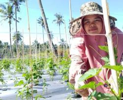 Kesulitan Akses Kredit Bank, UMKM Butuh Solusi Pendanaan Cepat Agar Produksi Tak Tertunda