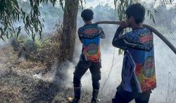 Tim Dalkarhutla Dishut kalteng Kembali Padamkan Kebakaran lahan Gambut Saat Cuaca Panas