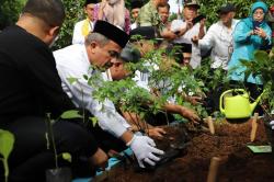 Dari Atap Gedung hingga Gang Hijau, Urban Farming Jadi Andalan Jakarta Hadapi Krisis Pangan