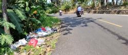 Lapor KDM! Jalan Nasional Jabar Selatan di Sindangbarang Cianjur Dikotori Tumpukan Sampah Liar