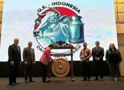 Kemitraan dengan Amerika Serikat, Produksi Susu Peternak Sapi Perah Lokal Naik 32,5 Persen