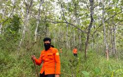 Satu Orang Hilang Misterius di Hutan, Tim SAR Lakukan Pencarian