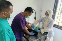 Rabies Masih Jadi Ancaman, Dispernakan Sasar Hewan Peliharaan untuk Divaksin