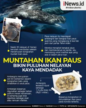 Harga muntahan ikan paus 1 kg 2021