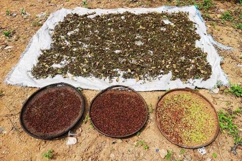 Petani di Kampung Dukuh