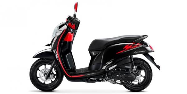 Honda Scoopy