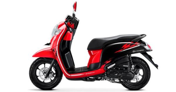 Honda Scoopy