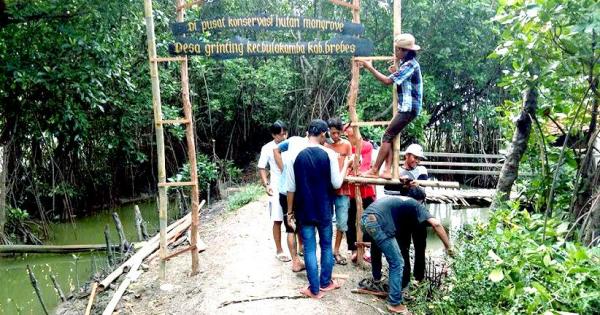 Asa Warga Brebes Membangun Wisata Hutan Bakau di Tengah ...