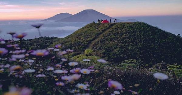 Wisata ke Dieng, Mengintip Bukit Teletubbies di Puncak Gunung Prau