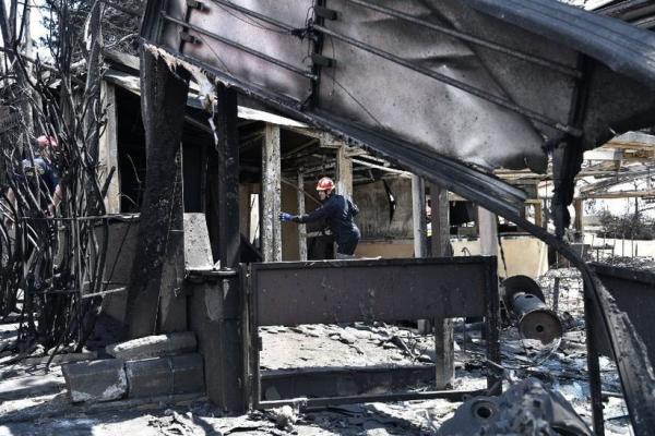 WNI Kisahkan Dahsyatnya Kebakaran Hutan di Yunani, 88 Orang Tewas