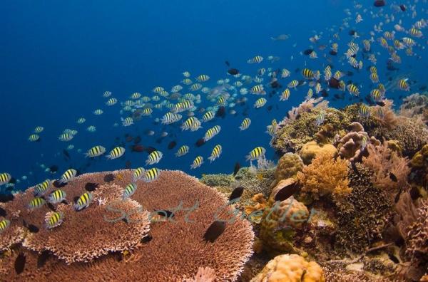 Tempat menarik di Manado Sulawesi Utara. (Foto: istimewa)