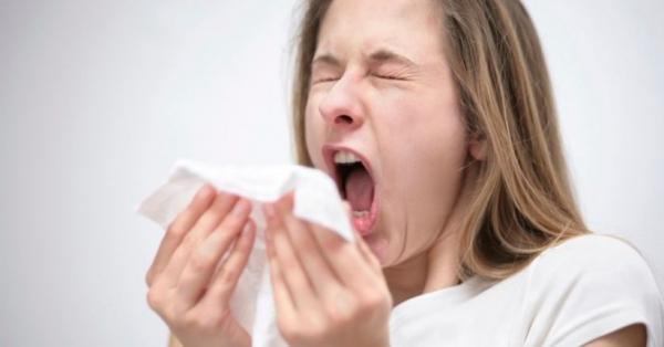 Cara Mengatasi Alergi Debu Cara Mengatasi Alergi Debu