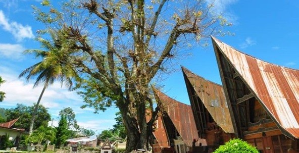 Daya Tarik Lain di Sekitar Danau Toba, Kunjungi Kampung Batak yang Terkenal Unik