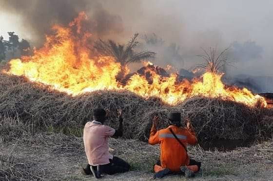 Usaha pemadaman api karhutla di Pelalawan Riau. (Foto: Istimewa)