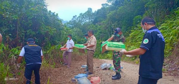 TNI mengamankan 215 ekor burung Kacer ilegal dari Malaysia yang bernilai puluhan juta rupiah di di Pos Sui Daun, Kecamatan Sekayam, Kabupaten Sanggau, Kalbar, Rabu (29/8/2019). (Foto: ist).