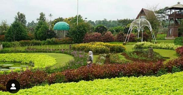 Weekend Wisata di Bogor, Asyiknya Selfie di Taman Bunga