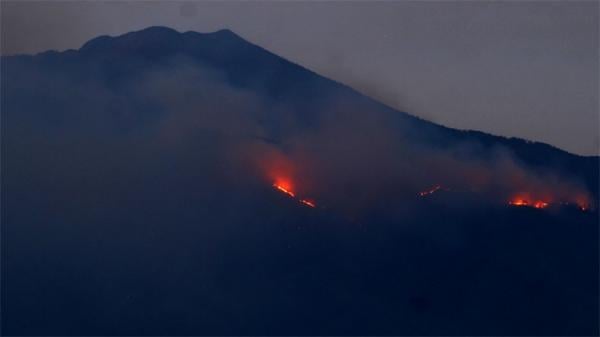 Kebakaran di Gunung Arjuno-Welirang Hanguskan 38 Ha Lahan Hutan 