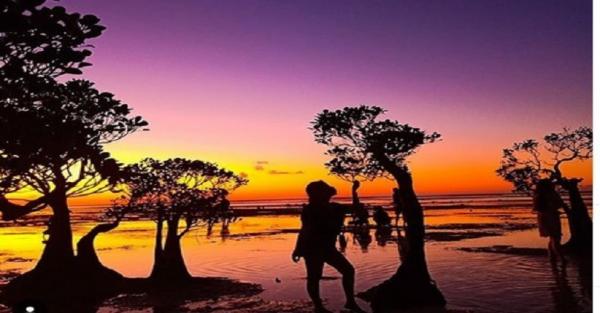 Eksotisme Pantai  Walakiri  di Sumba Bisa Lihat Parade Kuda 