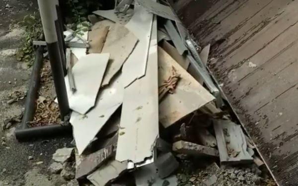 Puing-puing penemuan ular kobra , Jumat (27/12/2019) (Foto: iNews/ Rizky)