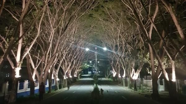 Spot selfie instagramable di Jalan Prof Dr Ing BJ Habibie, Bone Bolango. (Foto: Istimewa)