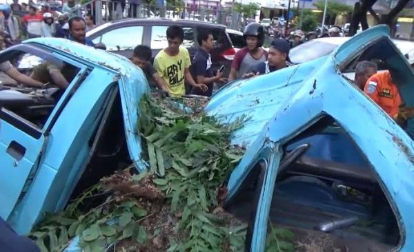 Angkot di Makassar ringset tertimpa pohon, Sabtu (4/1/2020) (Foto: iNews/ Wahyu)