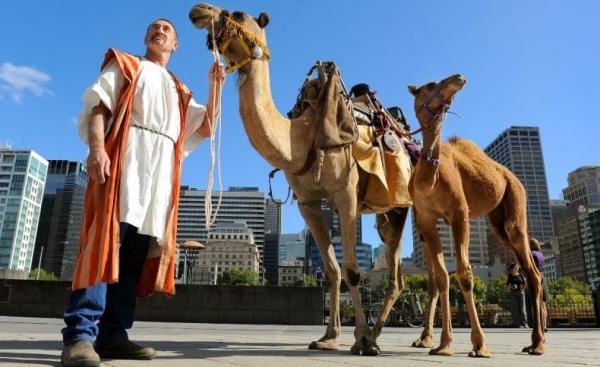 Sopir Bus Sekolah Tewas usai Tabrak Unta di Australia Sopir Bus Sekolah Tewas usai Tabrak Unta di Australia