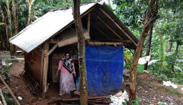 17 Rumah Janda Rumah Rohayah (48) di Desa Doro, Pekalongan nyaris ambruk akibat lapuk. (Foto: iNews/Suryono)