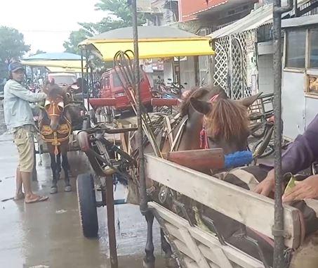 Delman di Dayeuhkolot Kabupaten Bandung, Rabu (29/1/2020) (Foto:iNews/ Saufat)