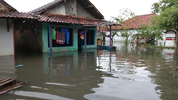 Banjir di Pekalongan, Jawa Tengah (Jateng). (Foto: iNews/Suryono)