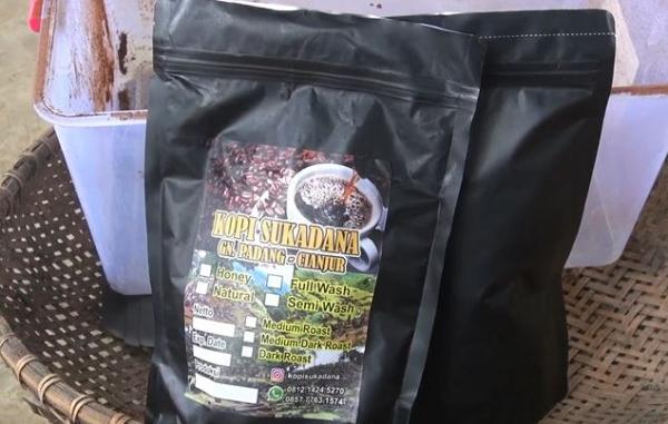 Kopi dari Desa Sukadana Cianjur Kopi dari Desa Sukadana Cianjur, Minggu (9/2/2020) (Foto:iNews/Andi Ichsyan)