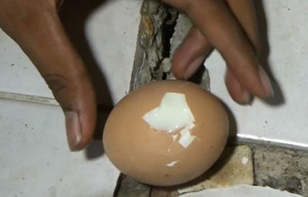 Telur matang di lantai rumah Mawardi Telur matang di lantai rumah Mawardi, Minggu (23/2/2020) (Foto: iNews/Budi Sunandar)