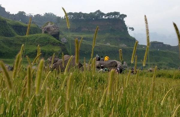 Pemandangan rumput di Ranu Manduro, Minggu (1/3/2020) (Foto: iNews/Sholahudin)