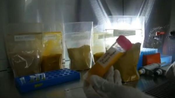 Empon-empon atau rempah-rempah yang diteliti bisa untuk menangkal virus korona. Eksperimen ini dipimpin Guru Besar Biomolekuler Universitas Airlangga Surabaya Profesor Chairul Anwar atau CA Nidom. (Foto: iNews/Jaka Samudra)