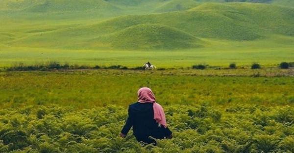 Musim Hujan Liburan ke Bromo, Bukit Teletubbies Terlihat Indah Sedang Menghijau