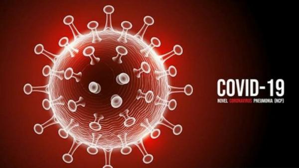 Virus corona (COVID-19). (Foto: ANTARA)