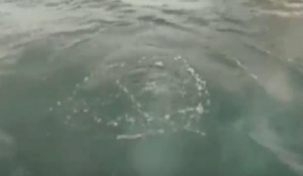 Gelembung berukuran besar muncul di perairan dekat Gunung Anak Krakatau. (Foto: iNews/heri Fulistiawan)