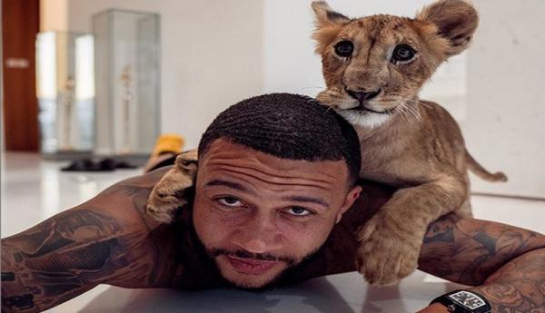 Memphis Depay dan hewan peliharaannya (Foto: Instagram @memphisdepay)