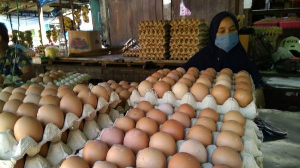 Jelang Puasa Harga Telur Ayam Ras Di Makassar Merangkak Naik Bagian 1 