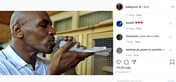 Mike Tyson dan Burung Merpati Peliharaannya (foto: instagram)