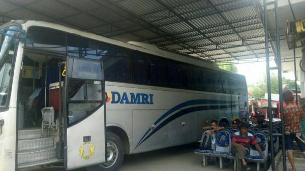 Bus Damri Dilempari Batu di Jalan Tol Trans Sumatra 