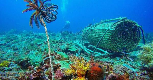 Mengenal Pulau Alor, Surga Tersembunyi di Timur Indonesia
