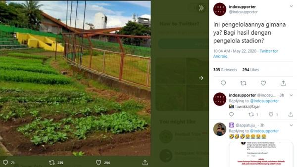 Stadion Mattoangin 2 Stadion Mattoangin jadi kebun sayur sejak Liga 1 2020 ditangguhkan karena virus corona (foto: Tawakkal/fajar)