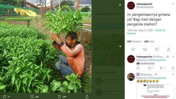 Stadion Mattoangin Jadi Kebun Sayur Stadion Mattoangin jadi kebun sayur sejak Liga 1 2020 ditangguhkan karena virus corona (foto: Tawakkal/fajar)
